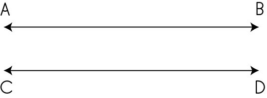 Parallel lines AB and CD that never meet