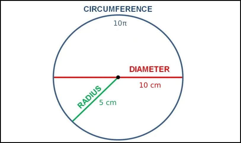 Finding the area of a circle step by step