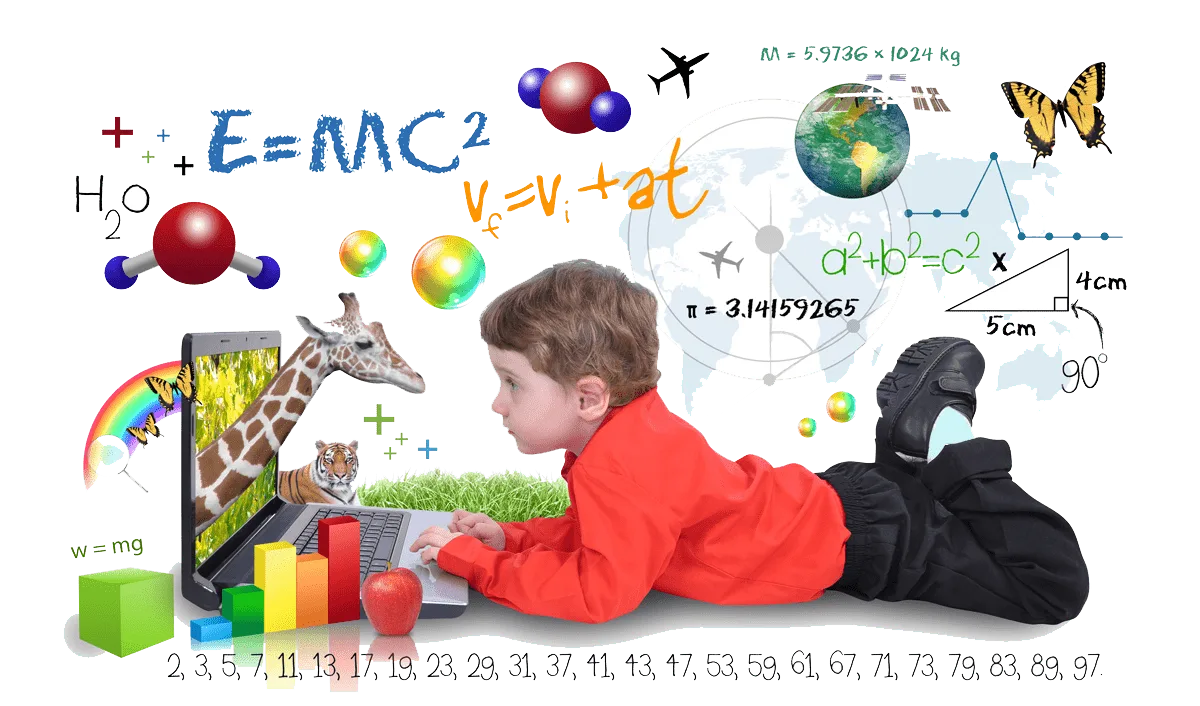 Online private tutoring session